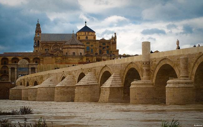 Puentes mundialmente famosos Máster Internacional en Proyecto y Construcción de Puentes Zigurat