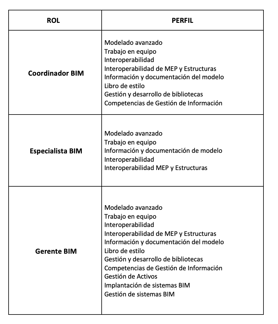 BIM Implementation Plan PYME